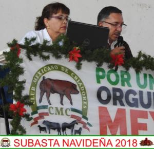 Subasta Navideña 2018.