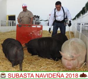 Subasta Navideña 2018.