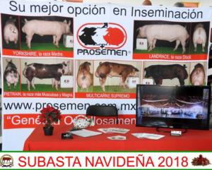 Subasta Navideña 2018.