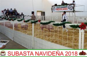 Subasta Navideña 2018.