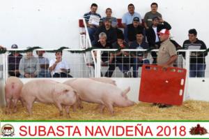 Subasta Navideña 2018.