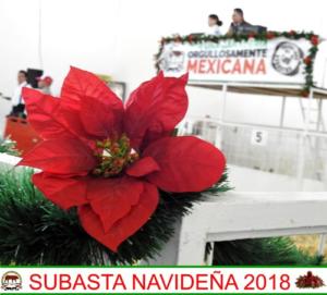 Subasta Navideña 2018.