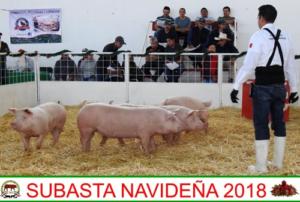 Subasta Navideña 2018.