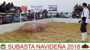 Subasta Navideña 2018.