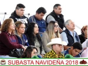 Subasta Navideña 2018.