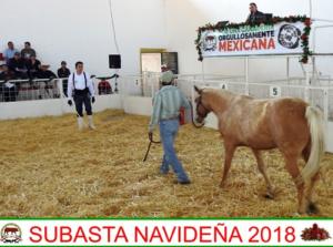 Subasta Navideña 2018.