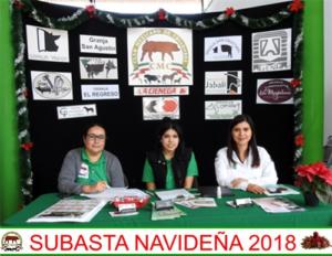 Subasta Navideña 2018.