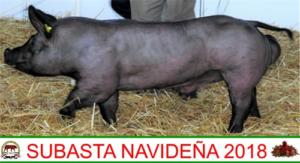 Subasta Navideña 2018.