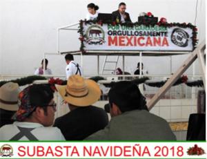 Subasta Navideña 2018.