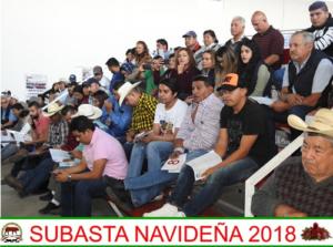 Subasta Navideña 2018.