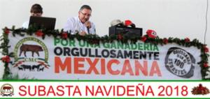 Subasta Navideña 2018.