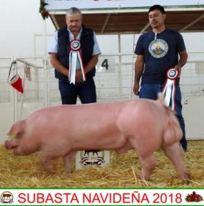 Subasta Navideña 2018.