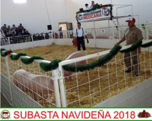 Subasta Navideña 2018.