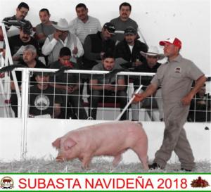 Subasta Navideña 2018.