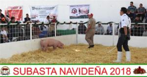 Subasta Navideña 2018.