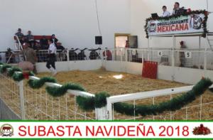 Subasta Navideña 2018.