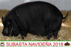 Subasta Navideña 2018.