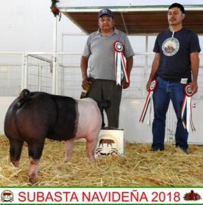 Subasta Navideña 2018.