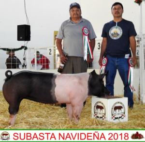 Subasta Navideña 2018.