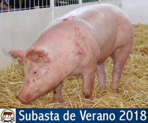 SUBASTA DE VERANO 2018.