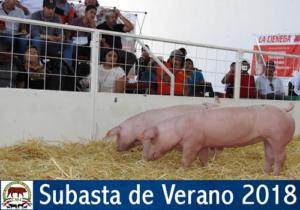 SUBASTA DE VERANO 2018.