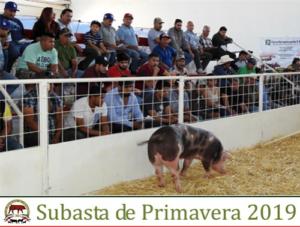 Subasta de Primavera 2019.