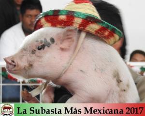 La Subasta Más Mexicana