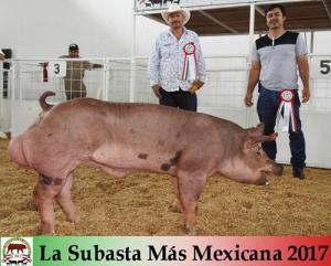 La Subasta Más Mexicana