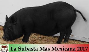 La Subasta Más Mexicana