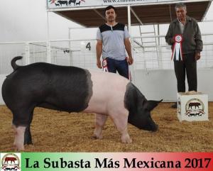 La Subasta Más Mexicana