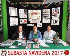 Subasta Navideña 2017.