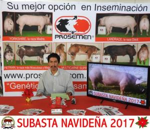 Subasta Navideña 2017.