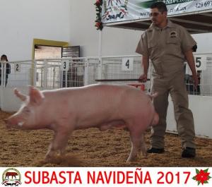 Subasta Navideña 2017.