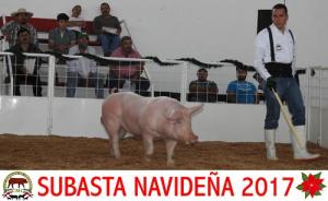 Subasta Navideña 2017.