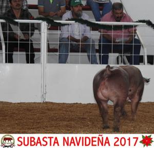 Subasta Navideña 2017.