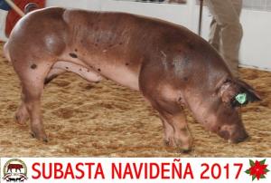 Subasta Navideña 2017.