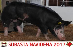 Subasta Navideña 2017.