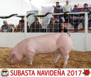 Subasta Navideña 2017.