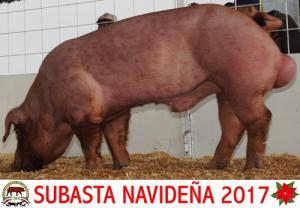 Subasta Navideña 2017.