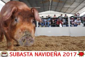 Subasta Navideña 2017.