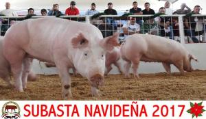 Subasta Navideña 2017.