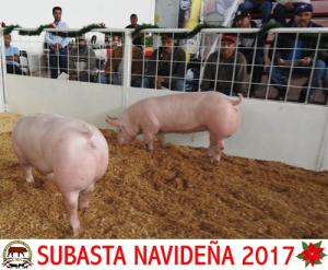 Subasta Navideña 2017.