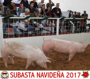 Subasta Navideña 2017.