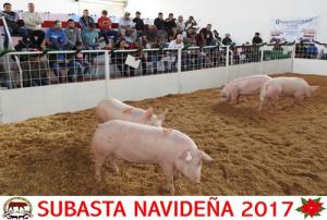 Subasta Navideña 2017.