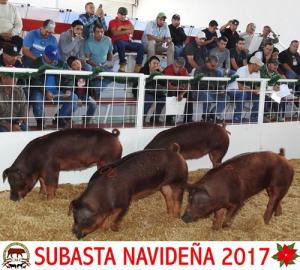 Subasta Navideña 2017.