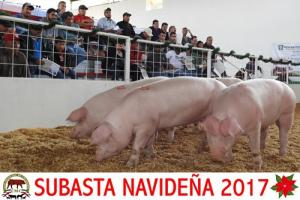 Subasta Navideña 2017.