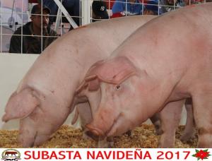 Subasta Navideña 2017.