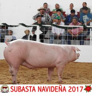 Subasta Navideña 2017.