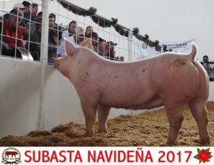 Subasta Navideña 2017.