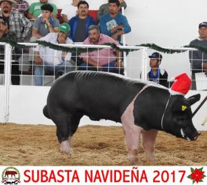 Subasta Navideña 2017.